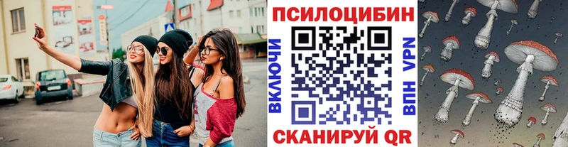 Галлюциногенные грибы прущие грибы  Чудово 
